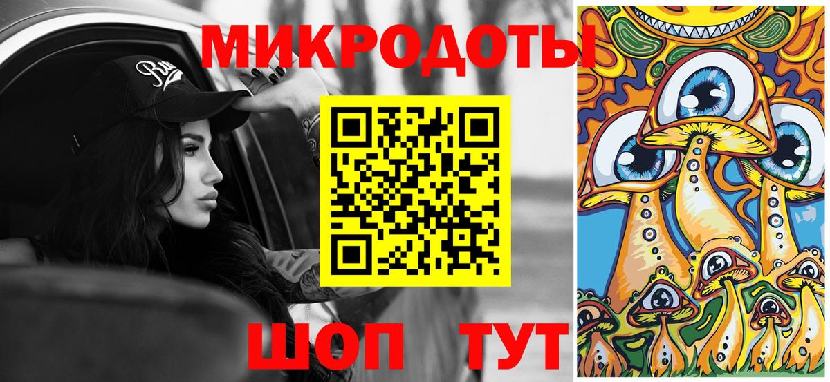 Галлюциногенные грибы Psilocybe Кизилюрт