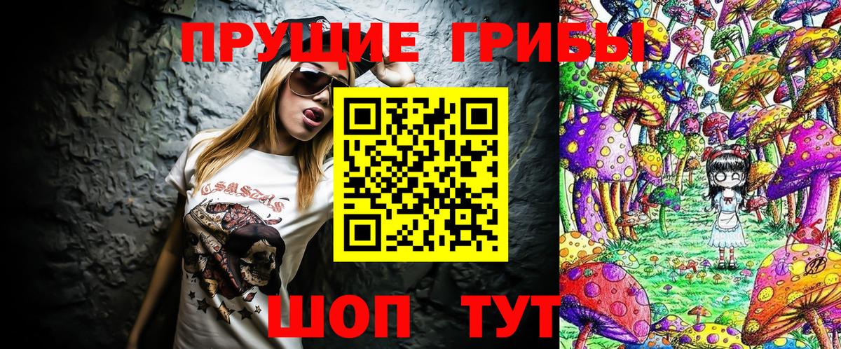 Псилоцибиновые грибы Psilocybine cubensis  Вход с VPN  Кизилюрт  Псилоцибиновые грибы мицелий 